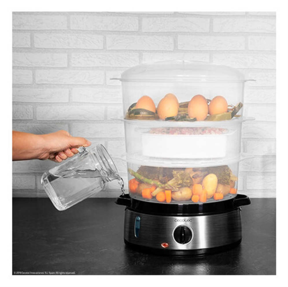VAPORERA CECOTEC VAPOVITA 3000 INOX - detalle