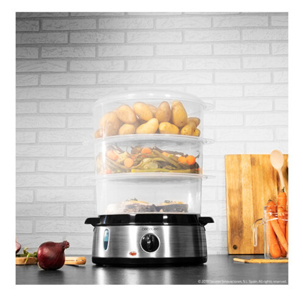 VAPORERA CECOTEC VAPOVITA 3000 INOX - detalle