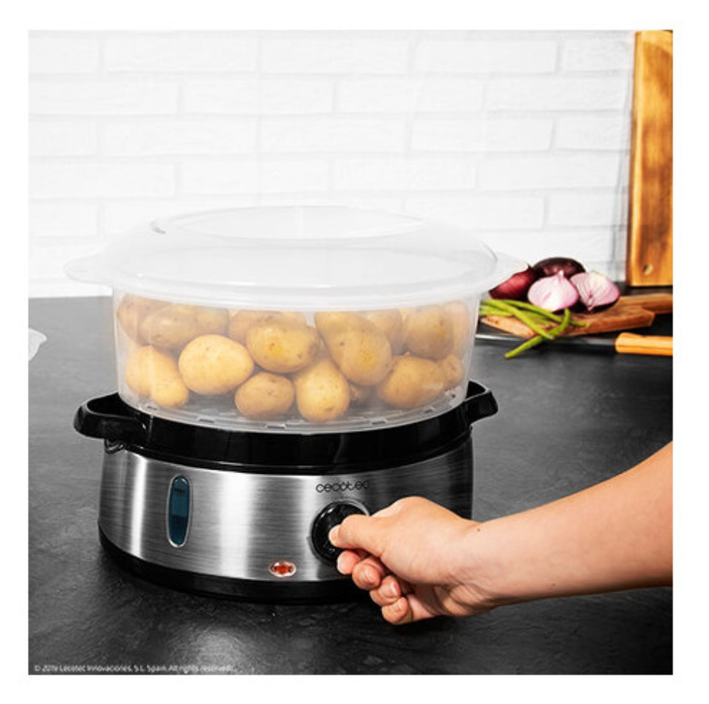 VAPORERA CECOTEC VAPOVITA 3000 INOX - detalle