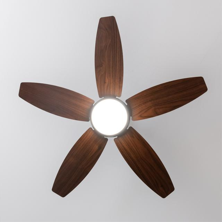 VENTILADOR CECOTEC ENERGYSILENCE AERO 4200 BLACK&DARKWOOD - detalle